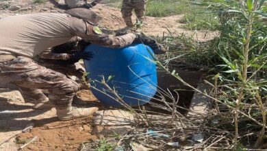 IMG ٢٠٢٣٠٤٢٠ ١٣٠٧٥٧