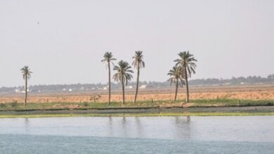 Screenshot 2023 04 01 20 52 35 75 40deb401b9ffe8e1df2f1cc5ba480b12