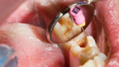 Screenshot 2023 04 06 15 55 58 72 40deb401b9ffe8e1df2f1cc5ba480b12