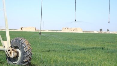 Screenshot 2023 04 07 11 23 38 81 40deb401b9ffe8e1df2f1cc5ba480b12