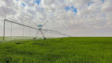 Screenshot 2023 04 09 10 43 53 84 40deb401b9ffe8e1df2f1cc5ba480b12