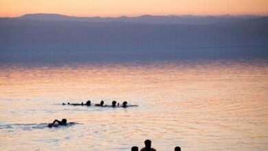 upload 1680384696 2042931739 1