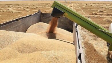 upload 1680422979 443689091 1