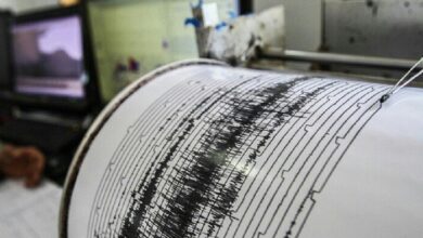 upload 1680844342 560852468 1