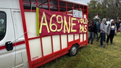 upload 1682204350 7419411962