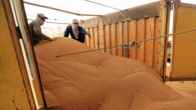 152232022 upload 1647938856 1664996230