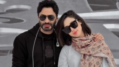 196 134502 tamer hosni basma bousil 700x400