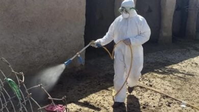 20E7135D 3F73 4BD1 9E6D 2E324D82F9E7