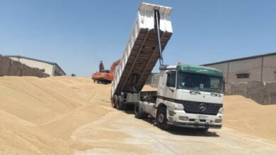 868EA0CF CC15 4127 8BAC FB73A063ECAA