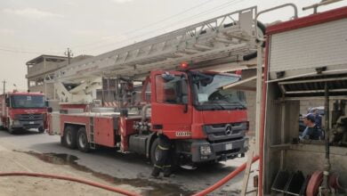 C3188768 705C 46E2 8D0C 4D5E94810036