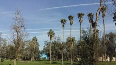 D1A76194 DCA7 4D72 9B51 4B52AFEEA5B2