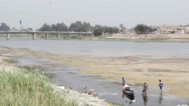 Doc P 422961 637902772154295438 810x455 1