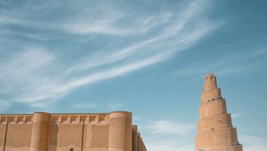 F0121F28 9E84 44D9 A04D 7123D1A86BE6