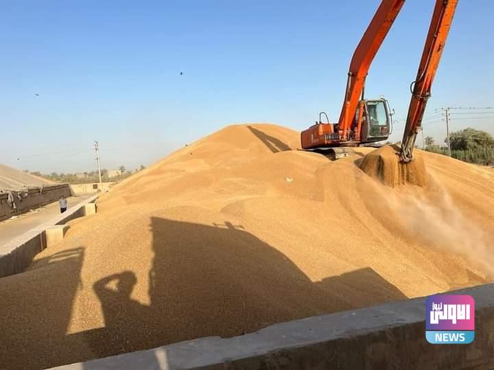 التجارة: إنجاز تسويق 750 ألف طن من الحنطة للموسم الحالي 1 FB IMG 1683829727774