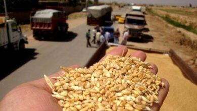 IMG 20230501 145739 935