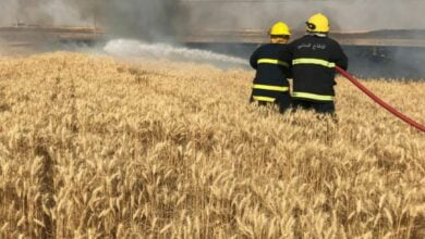 IMG 20230511 144516 464