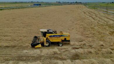 IMG ٢٠٢٣٠٥١٠ ١٣٥٨٤١