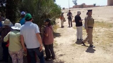 IMG ٢٠٢٣٠٥١٢ ١٥٤١٤١