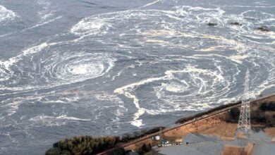 IMG ٢٠٢٣٠٥١٩ ١١١٥٠٣