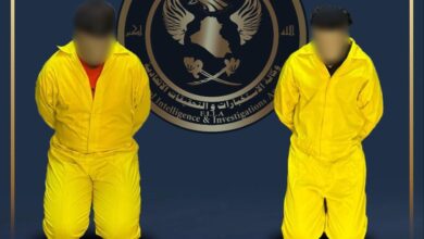 IMG ٢٠٢٣٠٥٢٩ ١٢٥٤٢٥