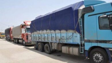 NB 263071 636878154465282032