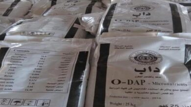 Screenshot 2023 05 01 15 59 27 72 40deb401b9ffe8e1df2f1cc5ba480b12