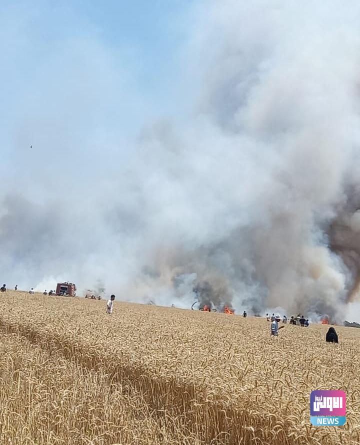 فرق الدفاع المدني تخمد حريقاً لحقول الحنطة بالنجف الأشرف 1 Screenshot 2023 05 03 13 59 52 86 40deb401b9ffe8e1df2f1cc5ba480b12