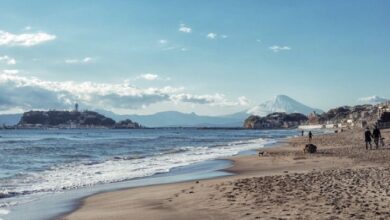 Screenshot 2023 05 05 11 13 51 88 40deb401b9ffe8e1df2f1cc5ba480b12