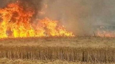 Screenshot 2023 05 12 12 59 58 51 40deb401b9ffe8e1df2f1cc5ba480b12