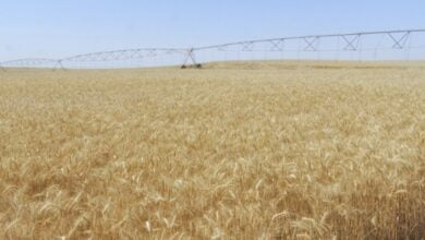 Screenshot 2023 05 17 12 58 21 88 40deb401b9ffe8e1df2f1cc5ba480b12