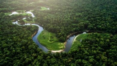 العثور على أربعة أطفال أحياء في الأمازون بعد أسبوعين على تحطم طائرتهم 4 Screenshot 2023 05 18 08 36 41 42 40deb401b9ffe8e1df2f1cc5ba480b12