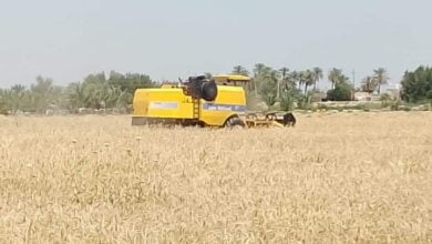 Screenshot 2023 05 19 11 57 52 93 40deb401b9ffe8e1df2f1cc5ba480b12