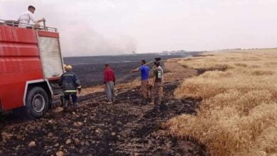 Screenshot 2023 05 20 09 15 50 67 40deb401b9ffe8e1df2f1cc5ba480b12