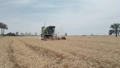 التجارة تحول 118 ملياراً إلى صلاح الدين لصرف مستحقات مسوقي الحنطة 4 Screenshot 2023 05 20 21 21 10 20 40deb401b9ffe8e1df2f1cc5ba480b12