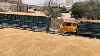 Screenshot 2023 05 21 10 12 32 10 40deb401b9ffe8e1df2f1cc5ba480b12