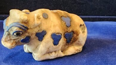 Screenshot 2023 05 24 09 33 37 62 40deb401b9ffe8e1df2f1cc5ba480b12