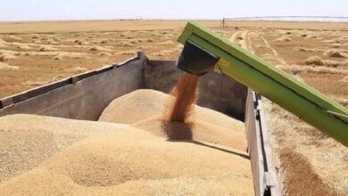 محافظ بابل يعلن كميات الحنطة المسوقة حتى الآن 2 Screenshot 2023 05 26 11 14 50 87 40deb401b9ffe8e1df2f1cc5ba480b12