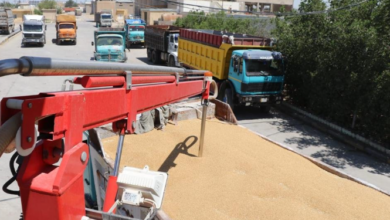 Screenshot ٢٠٢٣٠٥٠٥ ٢٢١٠٣١