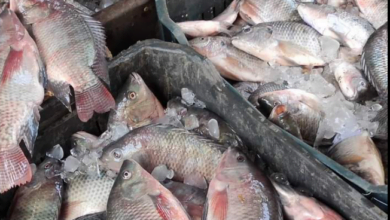 Screenshot ٢٠٢٣٠٥١٤ ٢١٠٠١٦