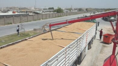 لاستيعاب الإنتاج المتزايد.. كربلاء تتوجه لإنشاء سايلوين جديدين للحنطة 6 Screenshot ٢٠٢٣٠٥١٨ ٢١٠٦٠١ Chrome