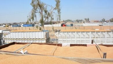 Screenshot ٢٠٢٣٠٥٢٥ ٢٠٤٤٢٢ Chrome