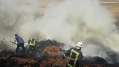 Screenshot ٢٠٢٣٠٥٣١ ٢١٠٣٥٩