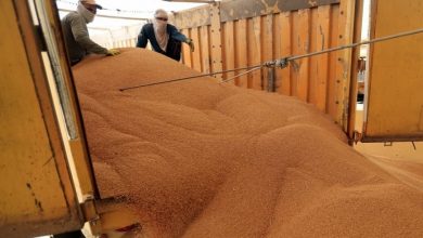 111562023 upload 1683828908 892985206