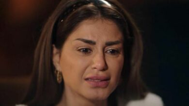 196 152324 menna fadali marital violence dogs loyal humans 700x400