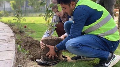 أمانة بغداد تصدر توضيحاً بشأن قطع بعض الأشجار في بغداد 6 245E0170 E91E 419B B61A 5ABAD888ACE0