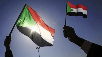 6F5D254C 04B2 4B9D 8ADF D90C48D6F420