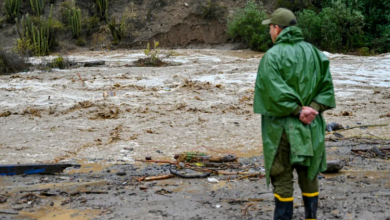 Capture 195 750x430 1