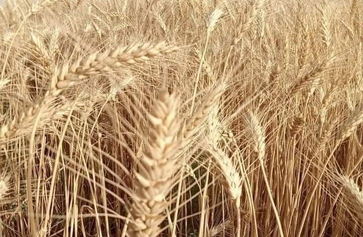 FB IMG 1686832154289