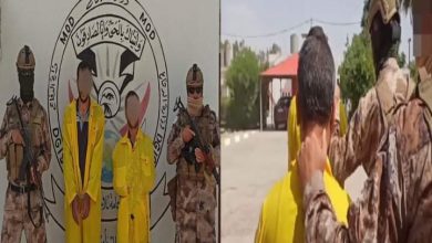 FB IMG 1686915757163