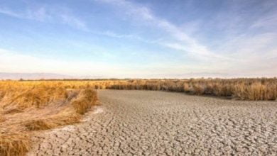 IMG 20230612 145548 174